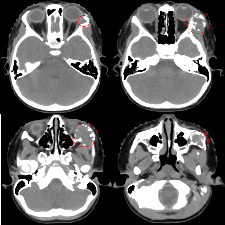 Fig. 8: