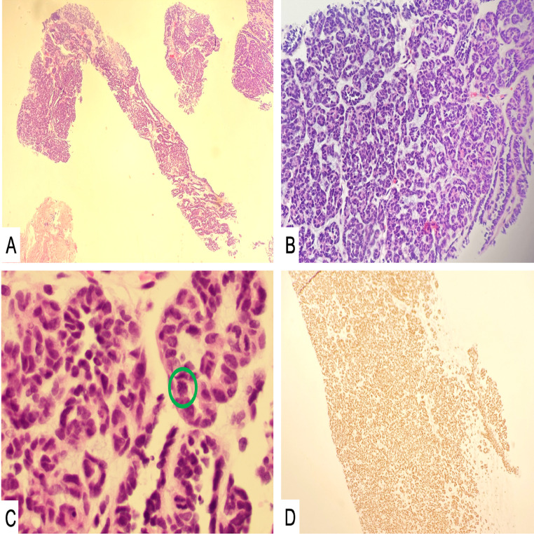 Fig. 7: