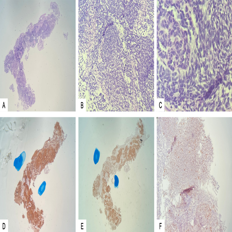 Fig. 4: