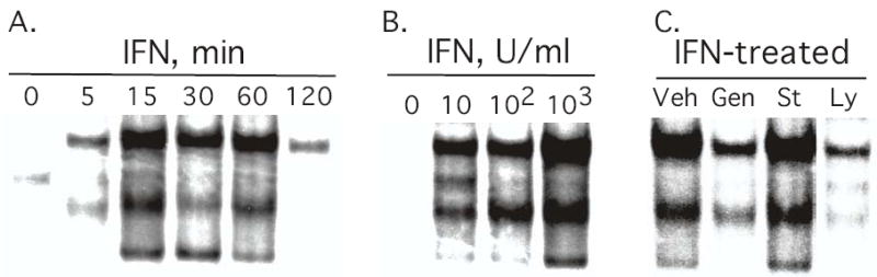 FIGURE 3