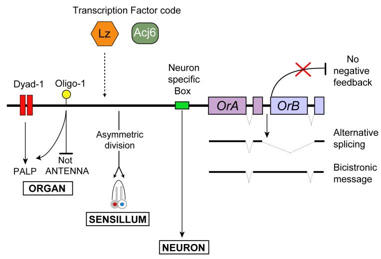 Figure 9