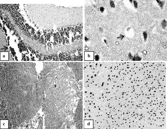 Fig. 7