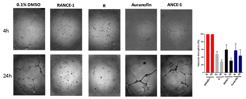 Figure 4.