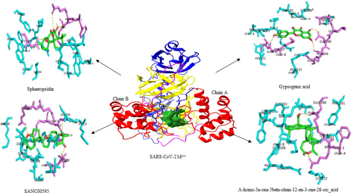 Figure 2