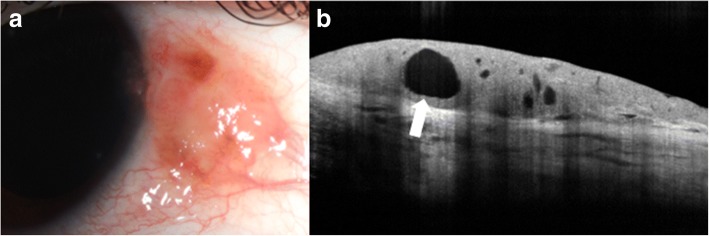 Fig. 9