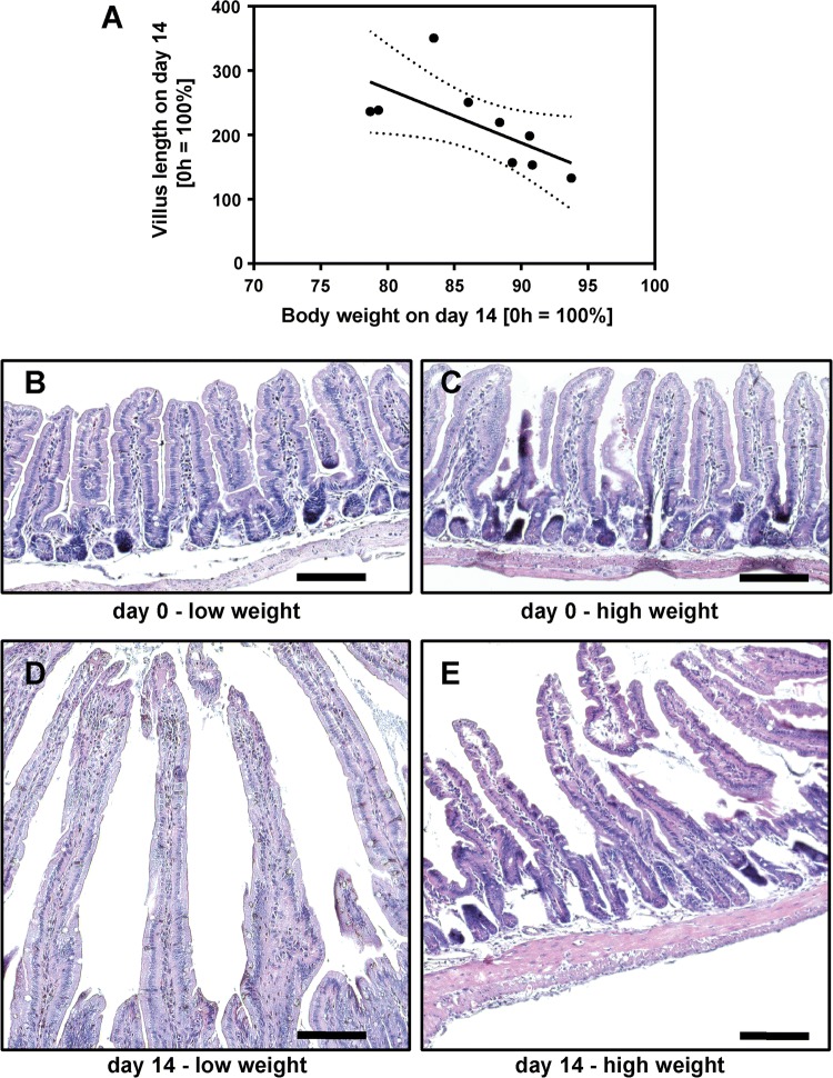 Fig. 10