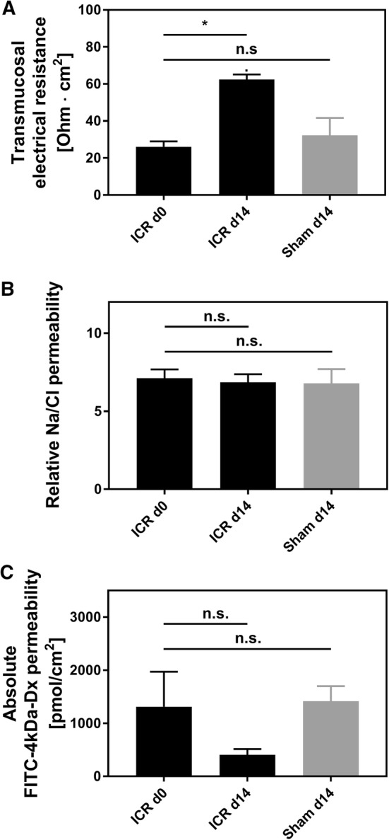 Fig. 11