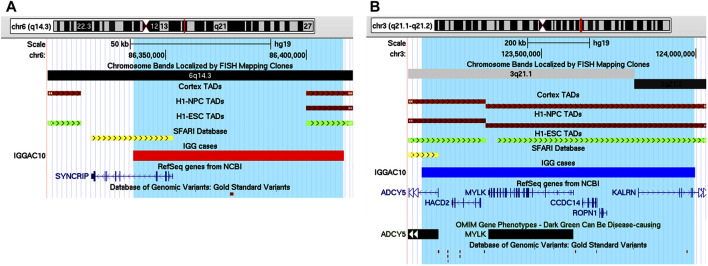 FIGURE 6