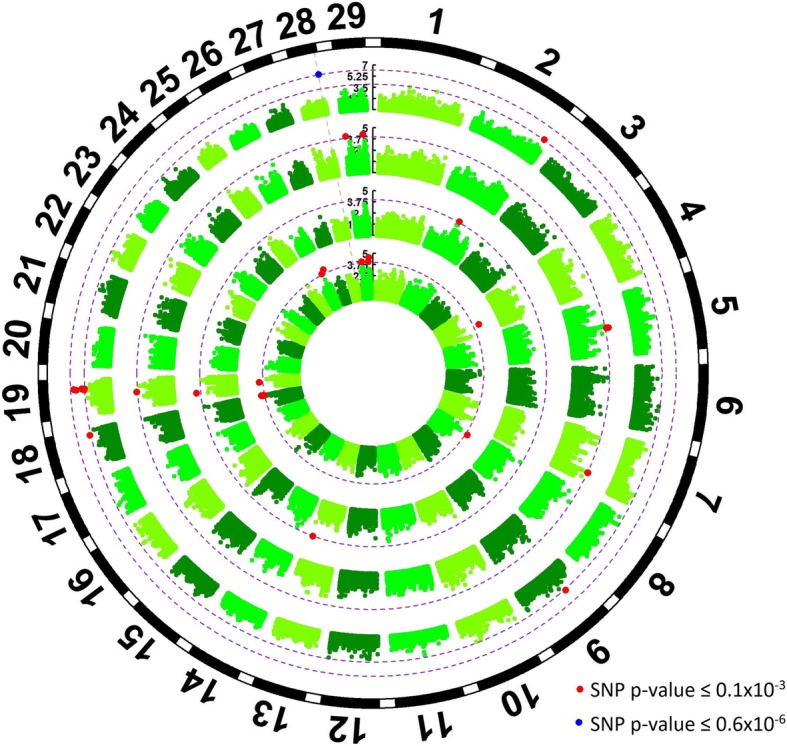 Fig. 2