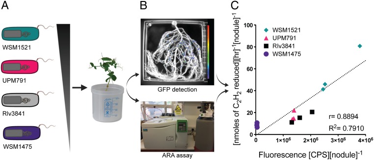 Fig. 2.