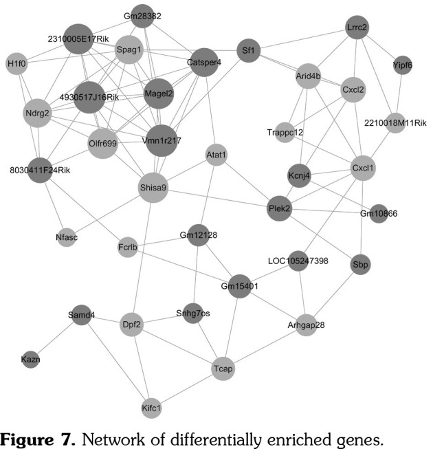 Figure 7