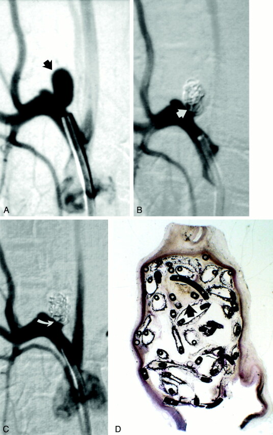 Fig 3.