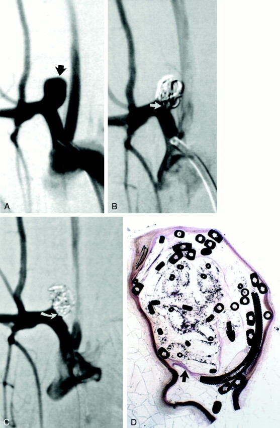 Fig 5.