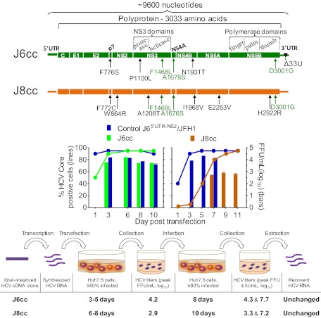 Fig. P1.