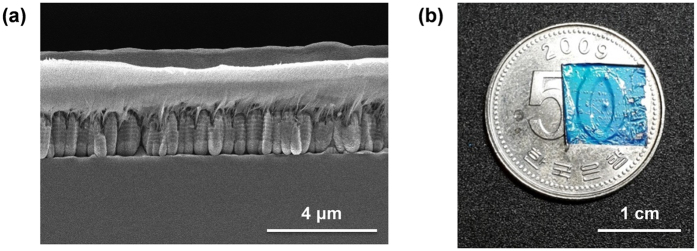 Figure 5