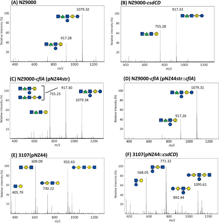 Figure 3.