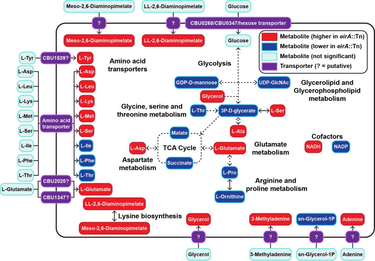 FIG 6