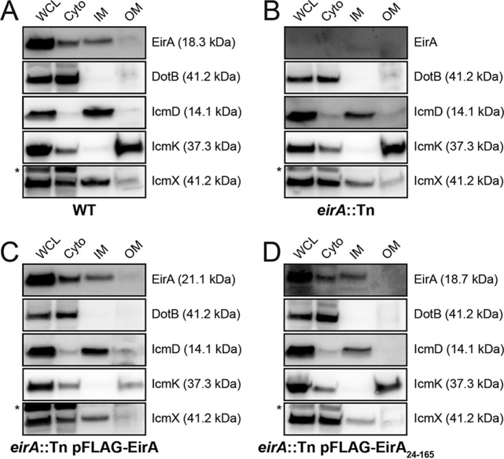 FIG 5