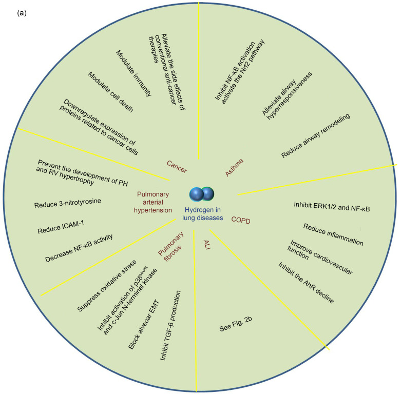 graphic file with name JZhejiangUnivSciB-23-2-102-g002a.jpg