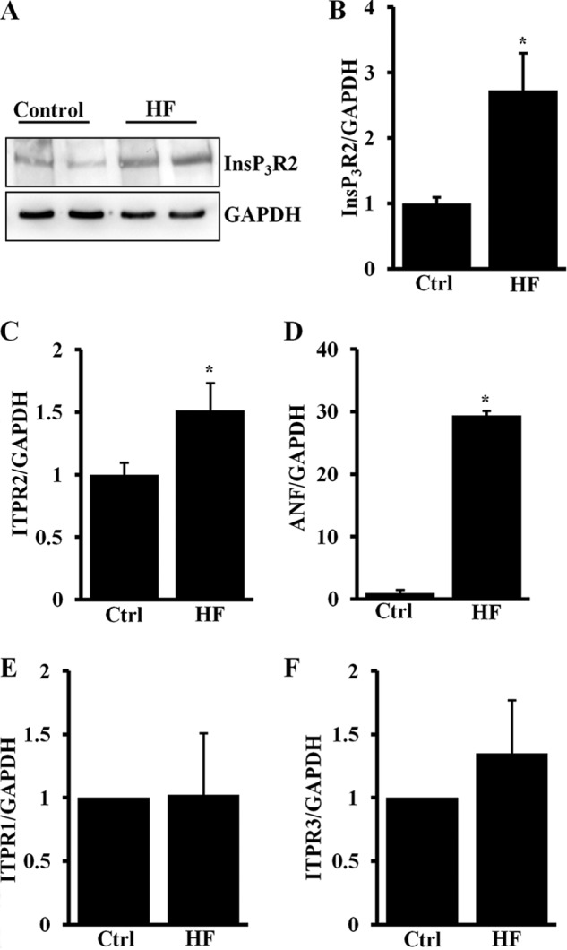 FIGURE 1.