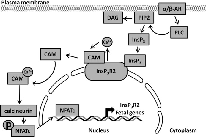 FIGURE 9.