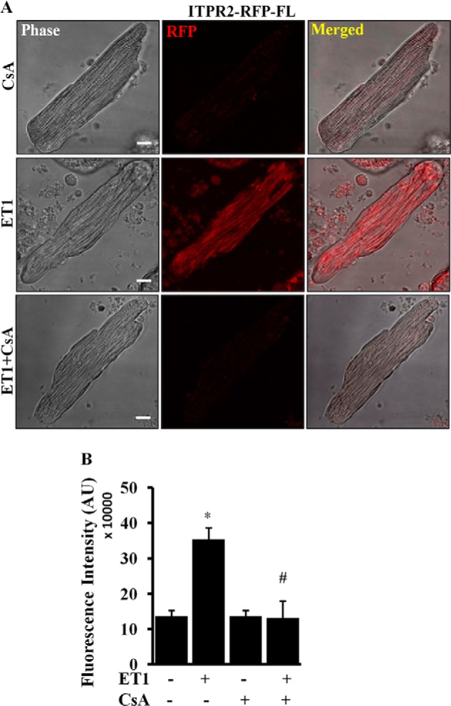 FIGURE 6.