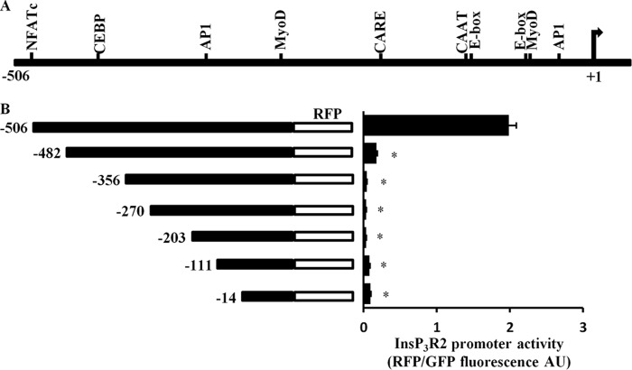 FIGURE 4.