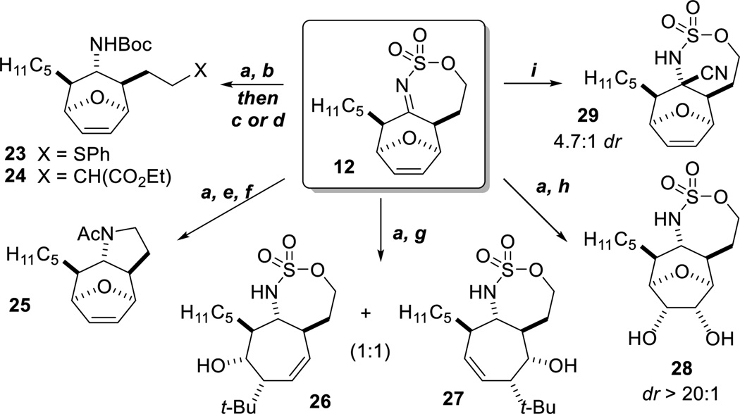 Scheme 3