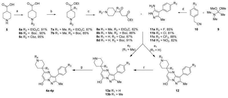 Scheme 1