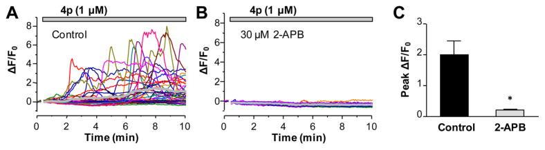 Figure 7