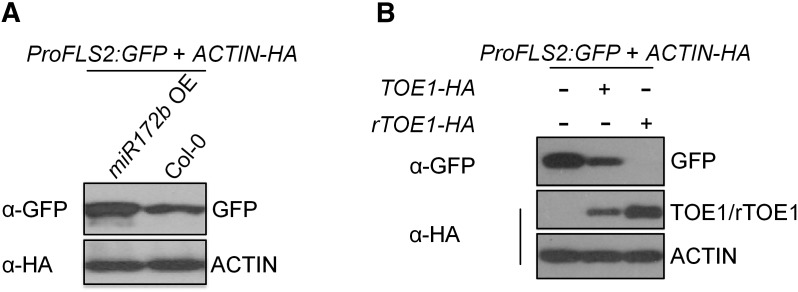 Figure 9.