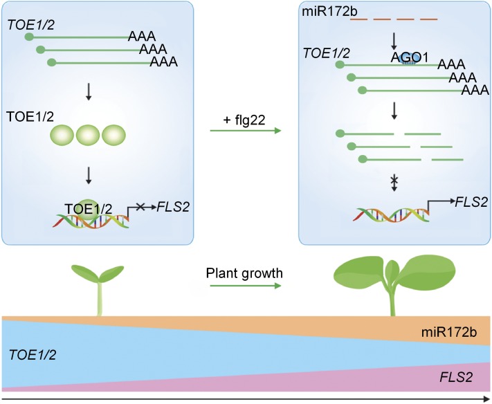 Figure 10.