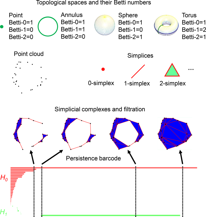 Figure 4: