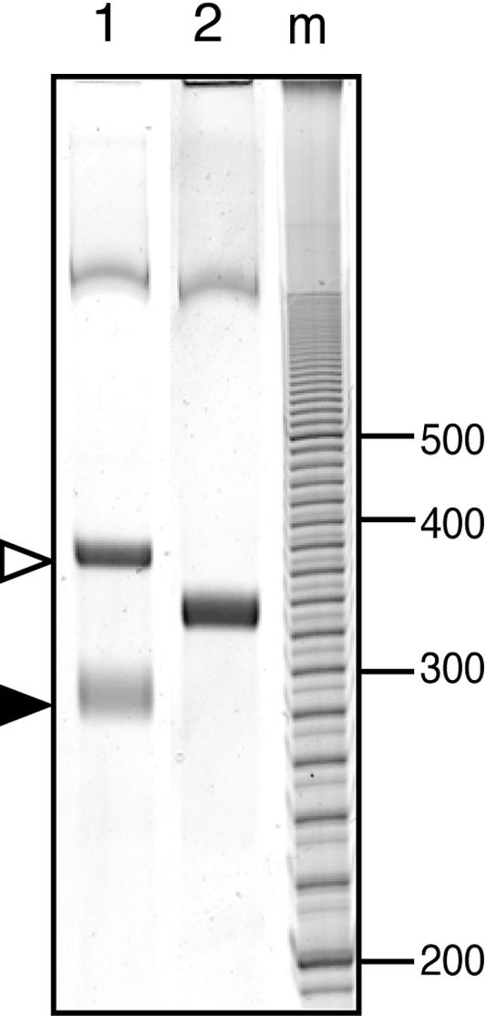 FIG. 5.