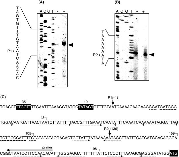 FIG. 3.