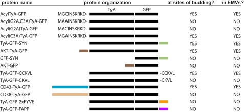 FIGURE 9.