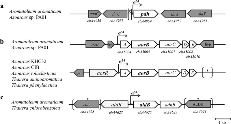 FIG 5