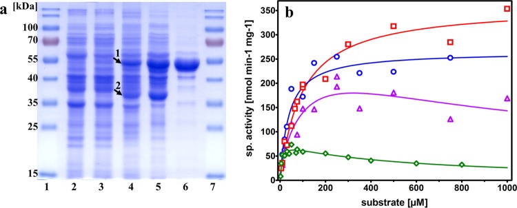 FIG 3