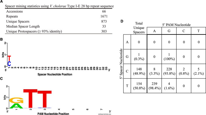 FIG 1