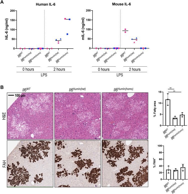 Fig. 4.