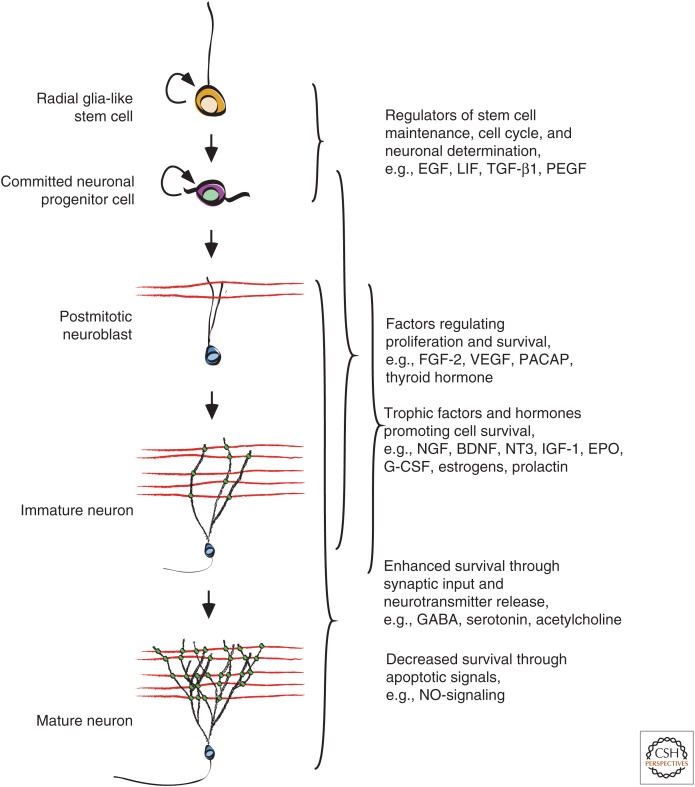 Figure 2.