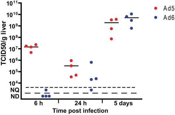 FIG 4