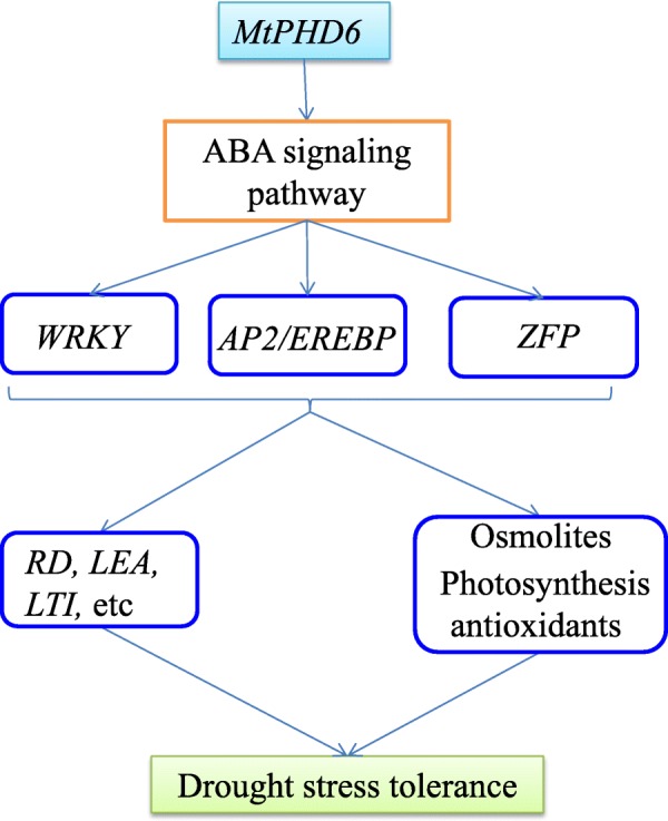 Fig. 10