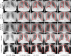 Fig 7