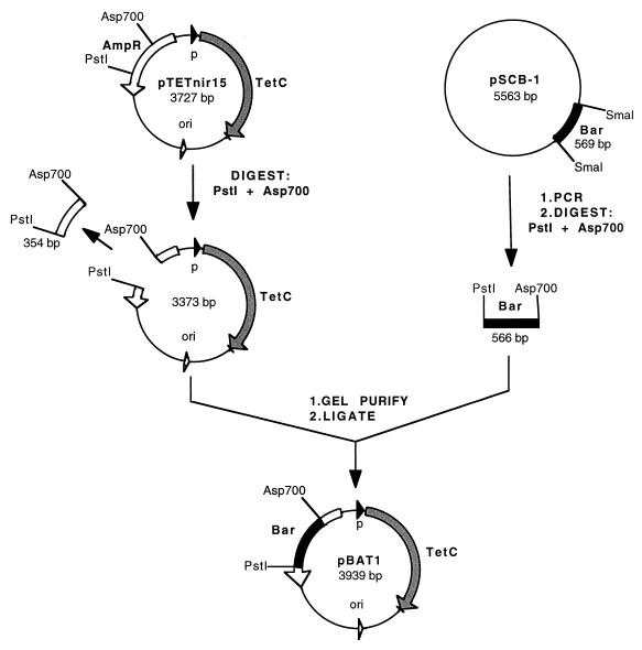 FIG. 1