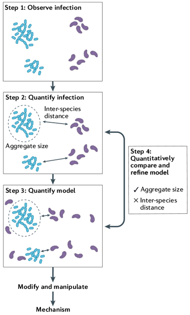 graphic file with name nihms-1814931-f0004.jpg