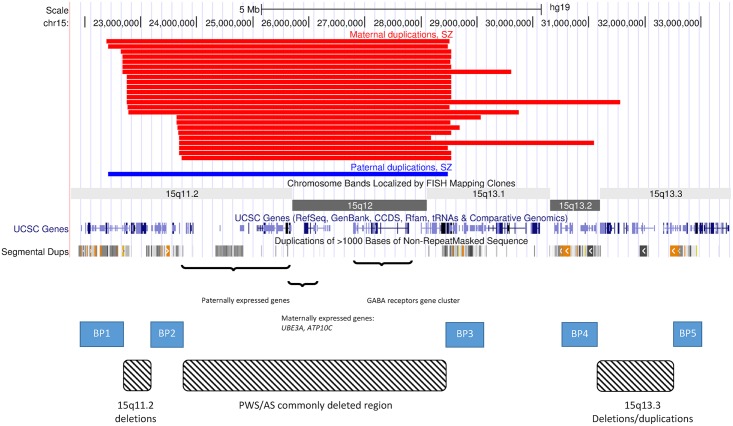 Fig 1