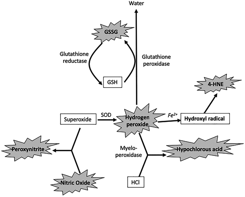 Figure 1: