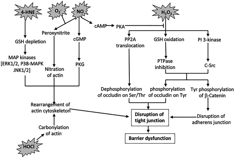 Figure 2: