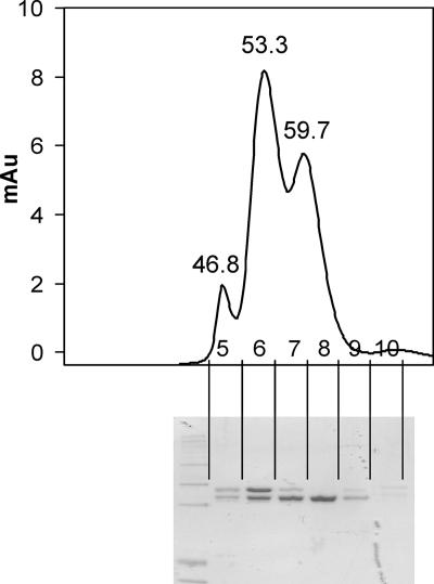 FIG. 7.